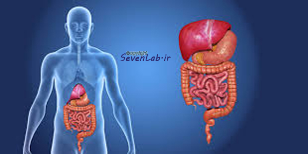 دايجستيو | DIGESTIVE