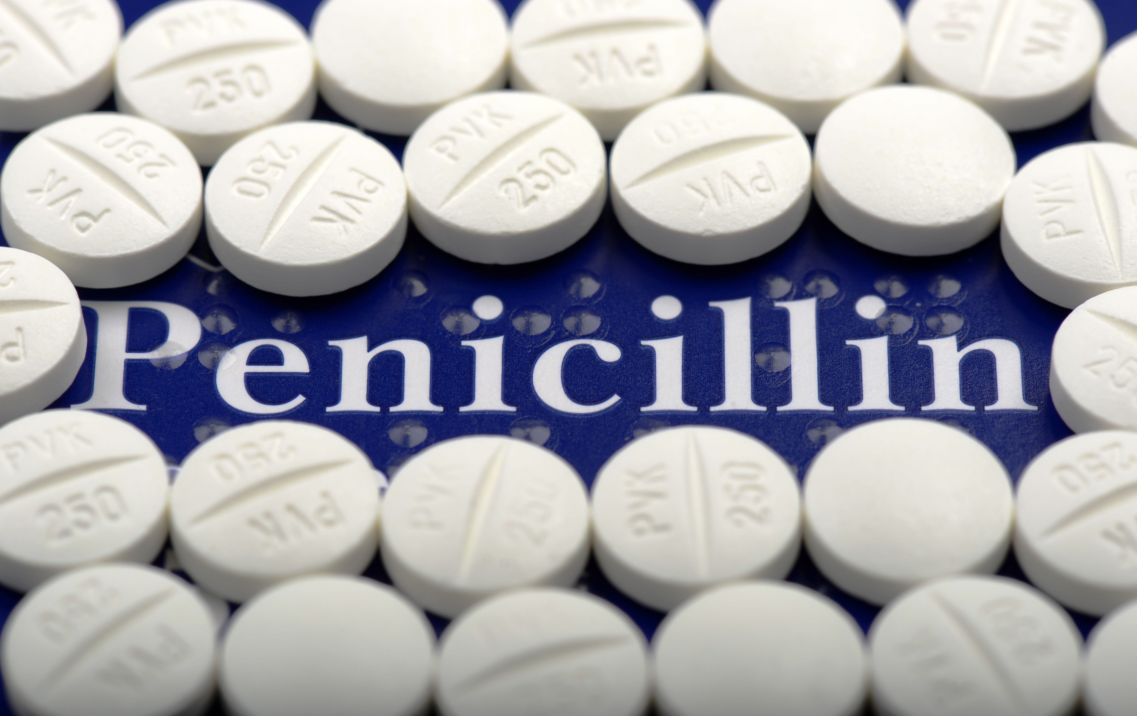 پنی سیلین ها | PENICILLINS